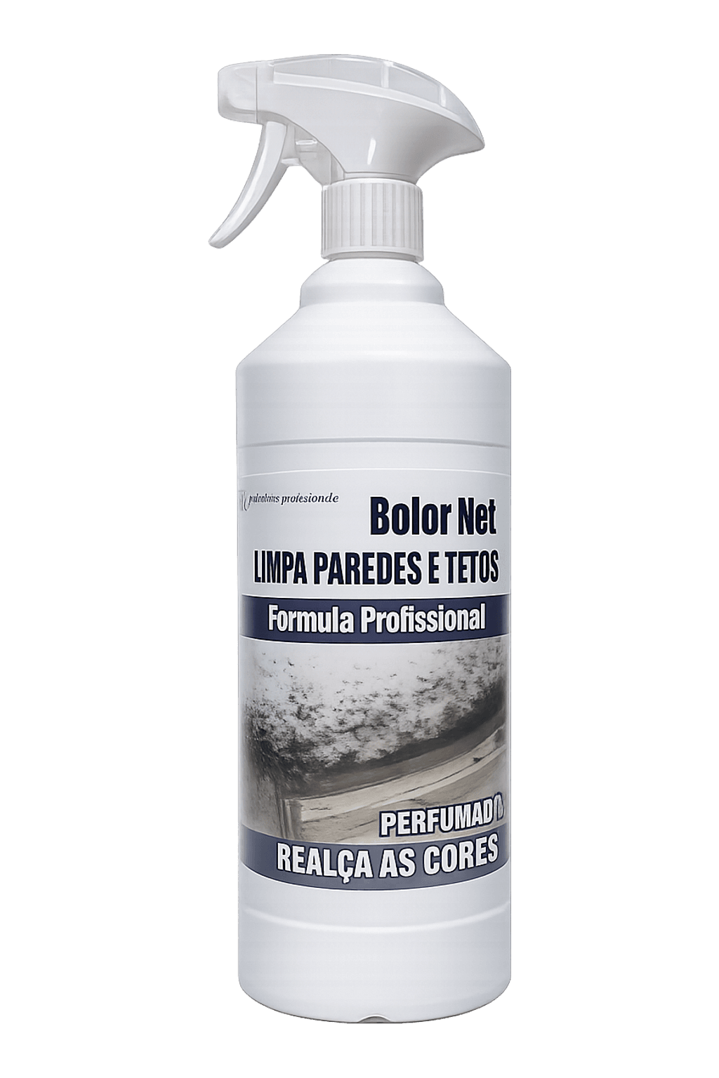 Bolor Net